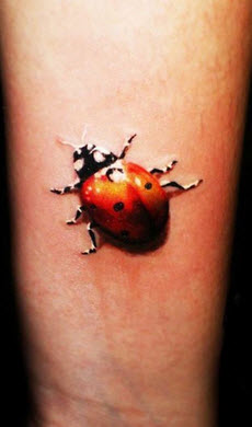 3d lady bug on arm
