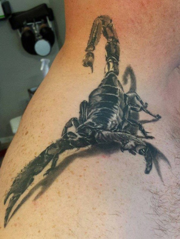 3d scorpion on your shoulder