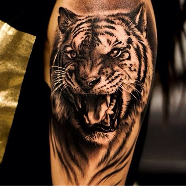 Angry tiger on arm in gray