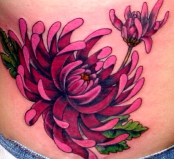 Chrysanthemum flower on back