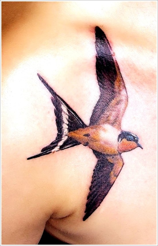 Colored big swallow fly on shoulder