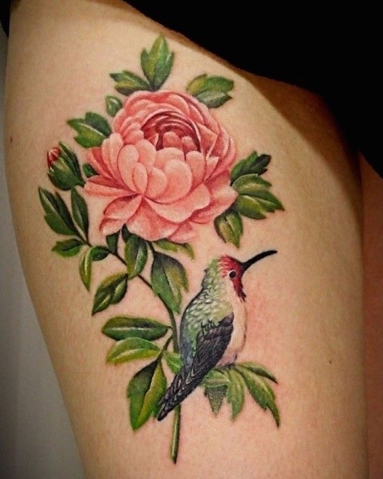 Humming bird and a flower