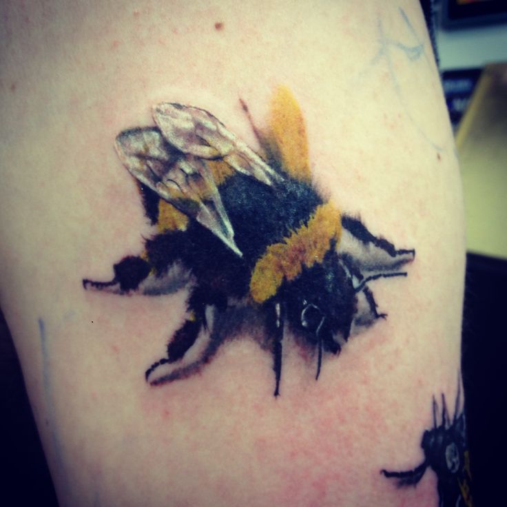 Nice Real Bumblebee Tattoo Design Idea Tattoo Pictures Tattoo Pictures