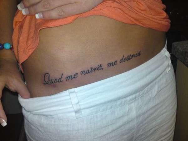 Quod me nutrit me destruit