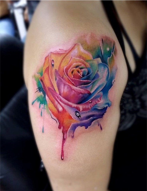 Rainbow coloured rose