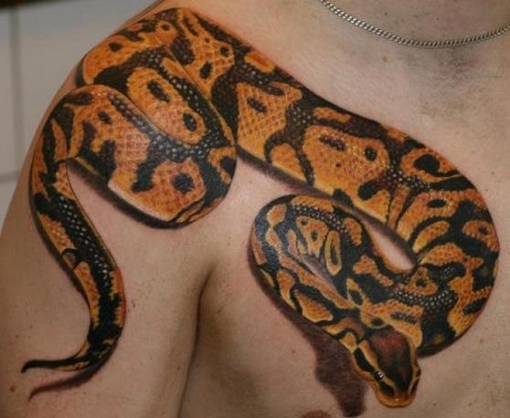 Realistic 3D orange Snake on Shoulder
