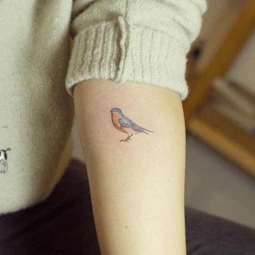 Small cute robin bird - (Tattoo Pictures)(Tattoo Pictures)