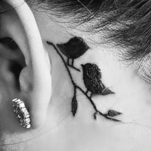 Small love birds on back of an ear