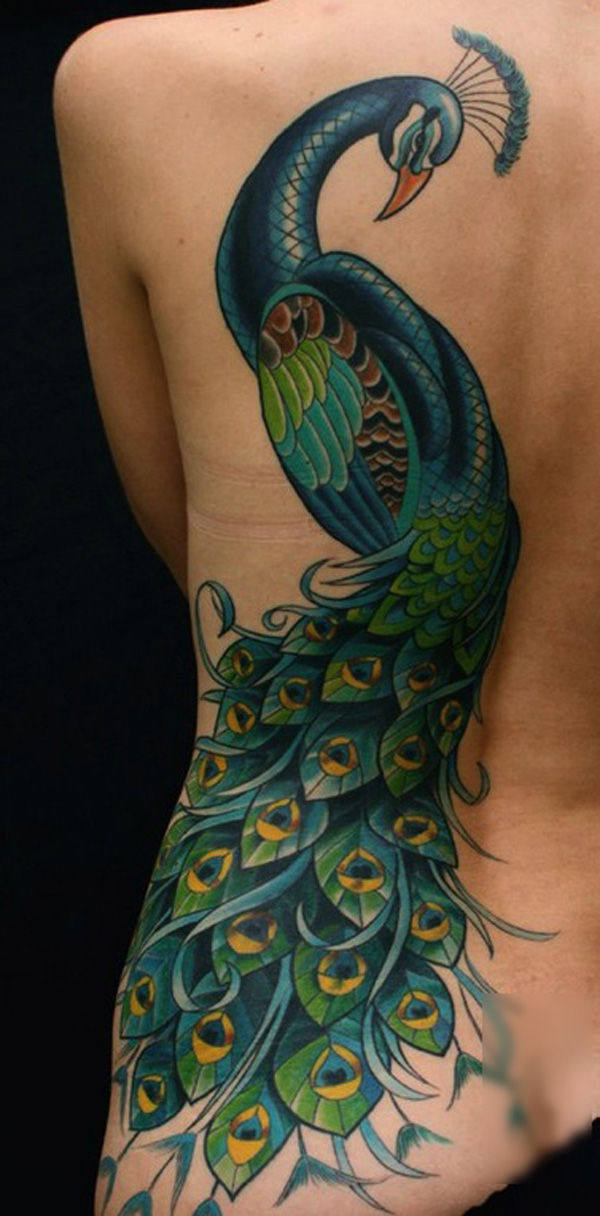 Very long full colored peacock on woman back