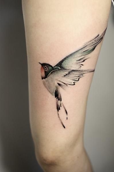 Big colored bird fly on womens leg