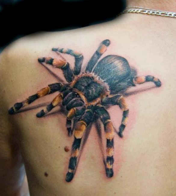 Big colored spider on shoulder