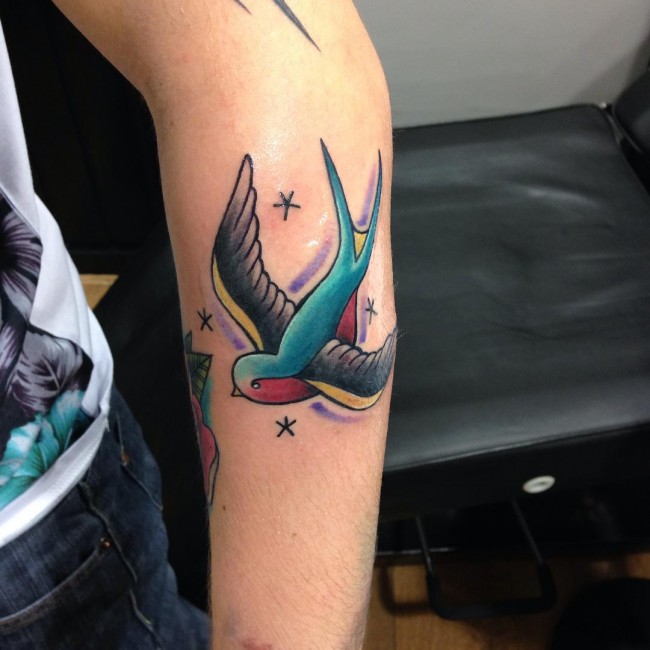 Big colored swallow with stars on hand