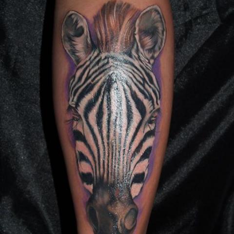 Big colored zebra tatoo on arm