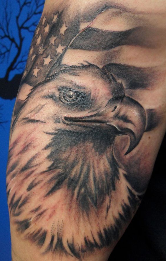 Big one color eagle with usa flag watch on you from sholder