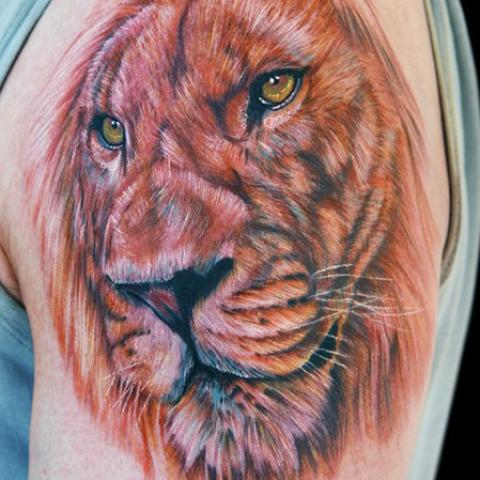 Big realistic orange lion on the shoulder