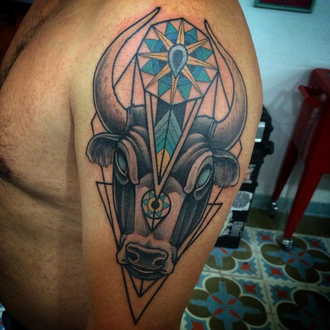 Bull head and geometry in color