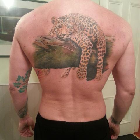 Cheetah on the branch in color on back