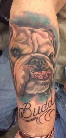 Collored buldog and quote on arm