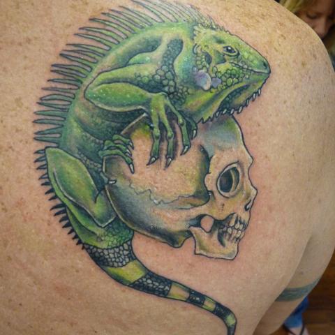 Colored lizard on the skull on the back