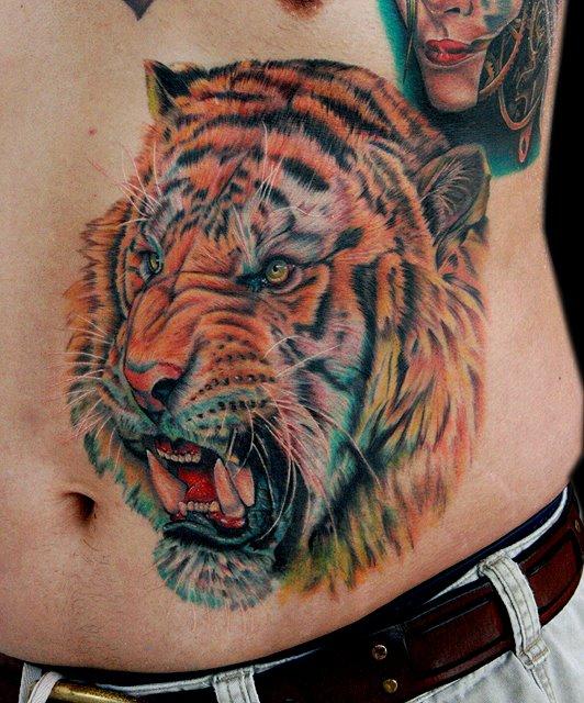 Colored tigers head on stomach