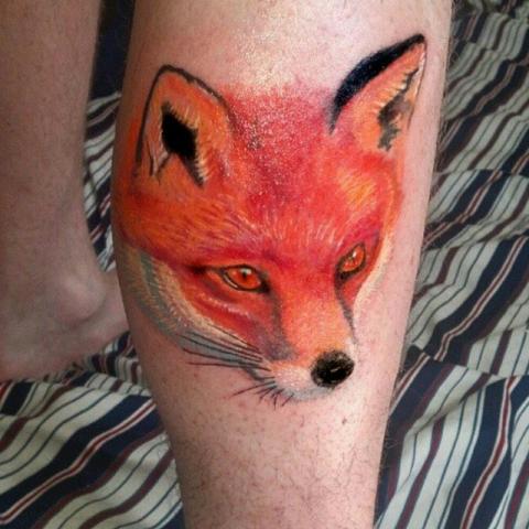 Cute colored fox on arm