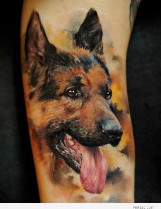 Dog realistic tattoo picture on arm