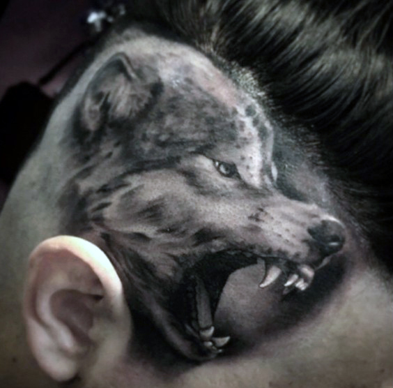 Dogs head over the ear in gray