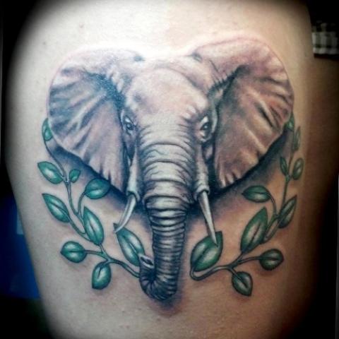 Elephant and branches on shoulder in color