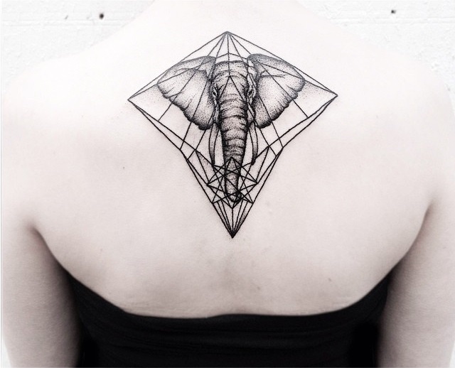 Elephant and geometry in gray