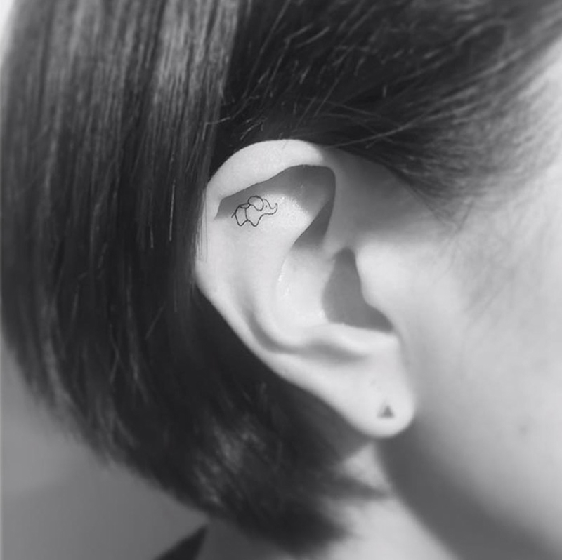 Elephant in the ear - (Tattoo Pictures)(Tattoo Pictures)