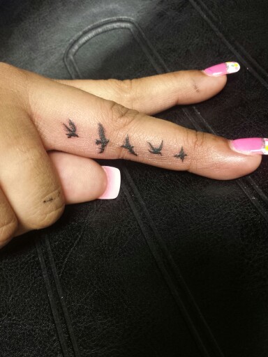 Five birds