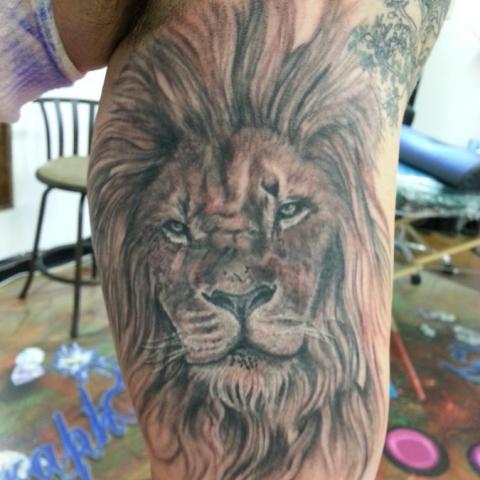 Full colored lion in arm