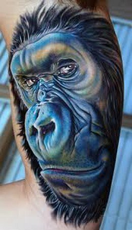 Full colored realistic monkeys head on arm