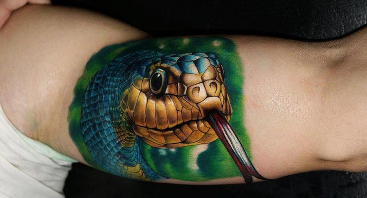 Full colored snakes head on arm