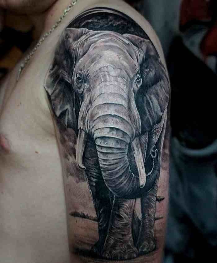 Full elephant gray tatoo on full sleeve