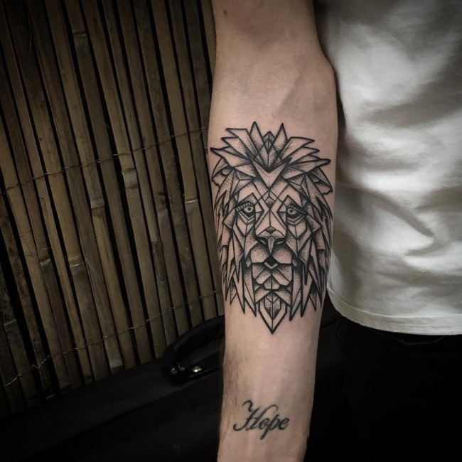 Geometry lion in one color