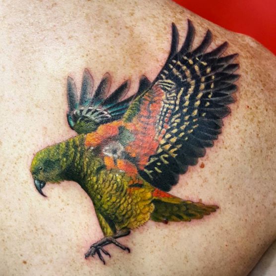 Kea bird colour realism realistic tattoo