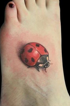 Lady bug in 3d on foot