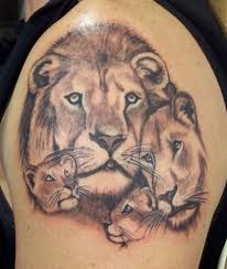 Lion and his family on the shoulder in gray