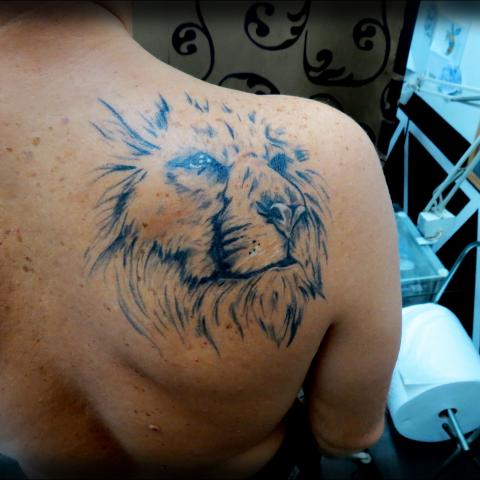 Lion with not so much colors on the back