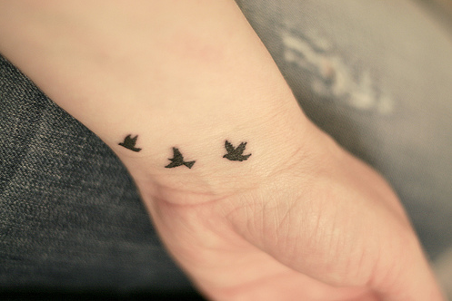 Little black birds