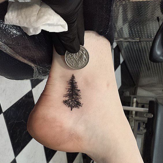 Little one color pine tree