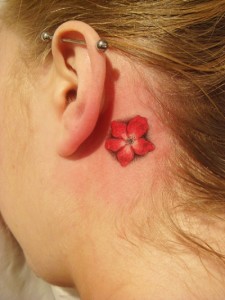 Little red flower behind ear