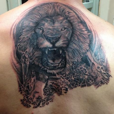 Mad big lion in gray on back