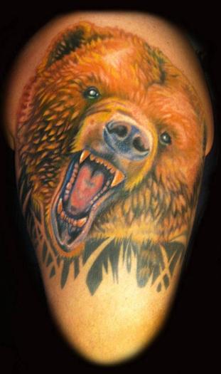 Med full colored orange bear head on shoulder