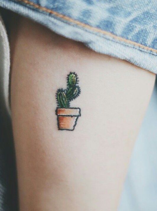 Minimal colored cactus