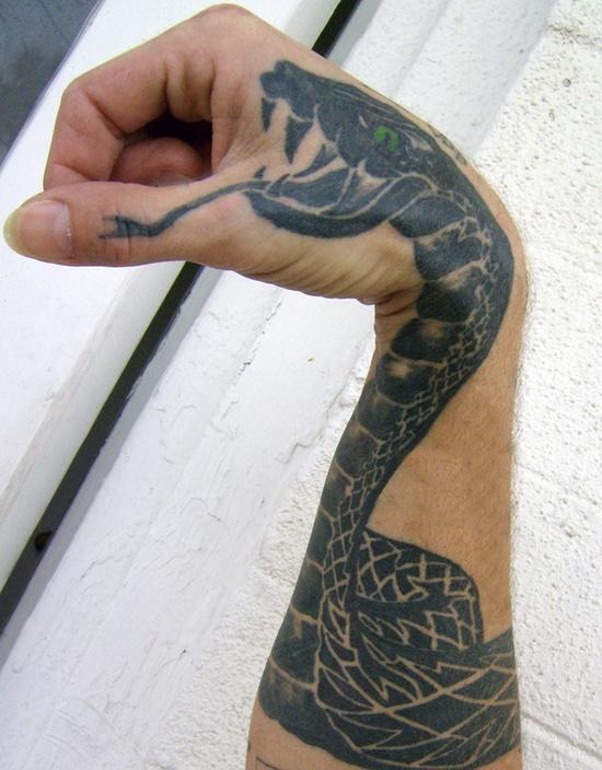 One color snake on arm