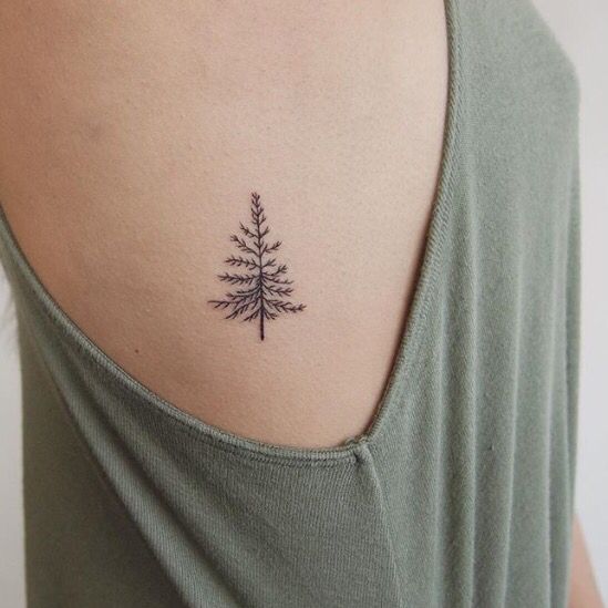 Pine tree in one color