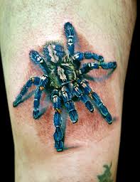 Real 3d spider in water color