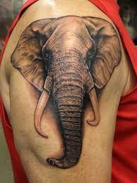 Realistic elephant head on the shoulder in gray